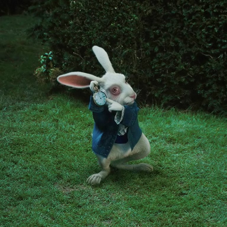 Alice in Wonderland - directed by Tim Burton