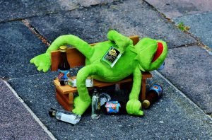 kermit the frog passed out drunk