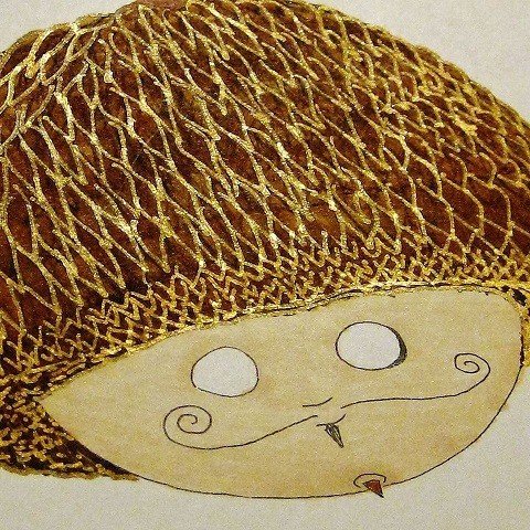 acorn