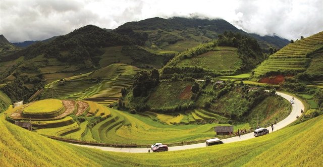 Magnificient route in autum. — VNA/VNS Photo Đỗ Tuấn Anh