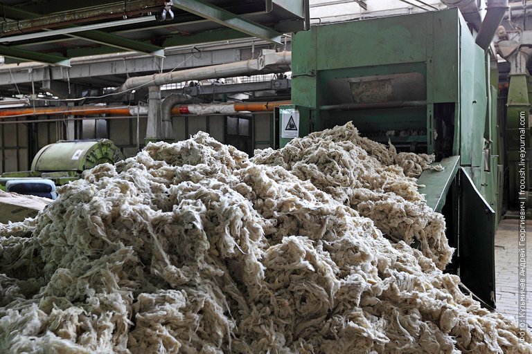wool production
