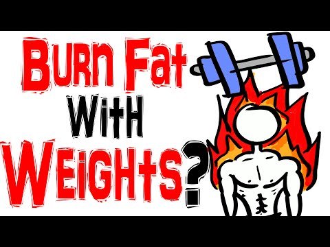 Use Weights to Lose Weight