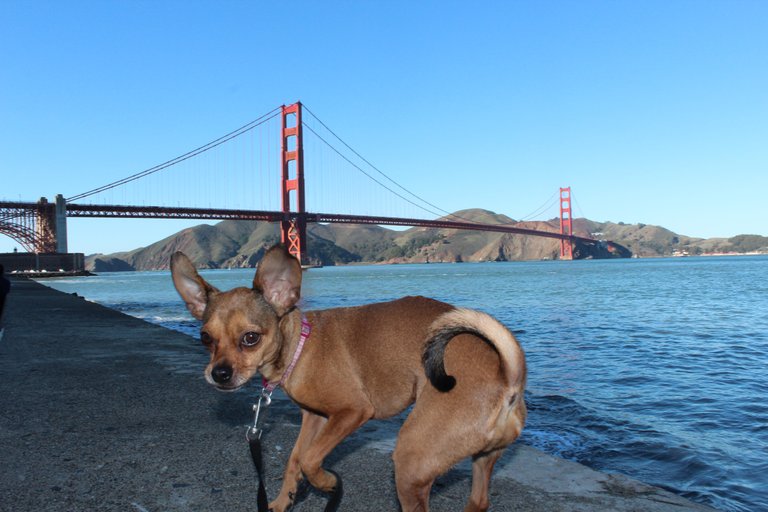 take off golden gate