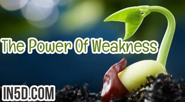 The Power Of Weakness