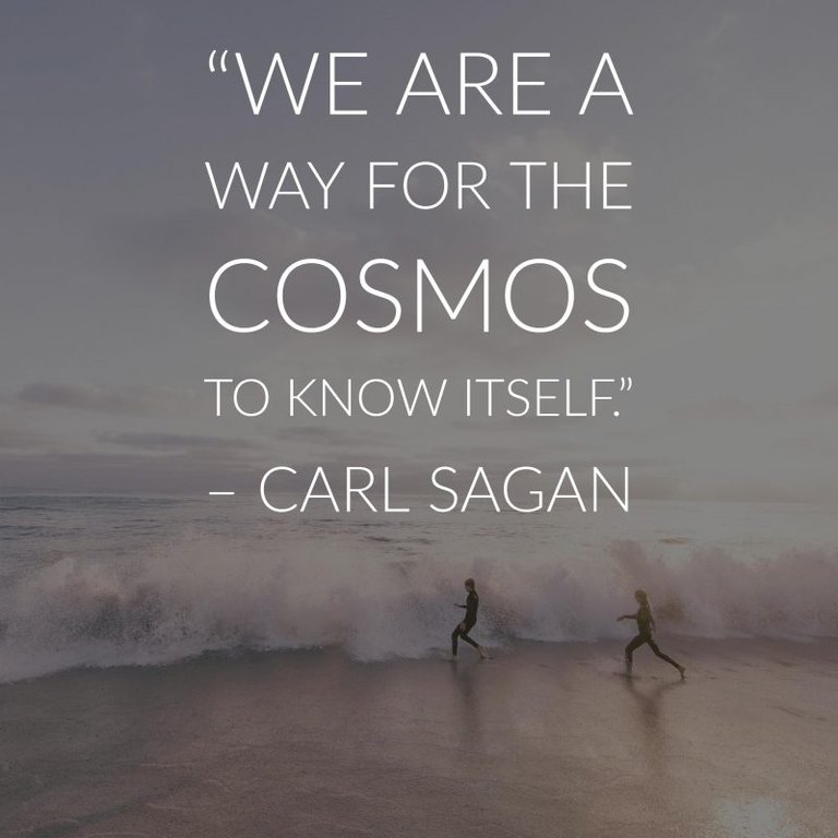 carl sagan quotes