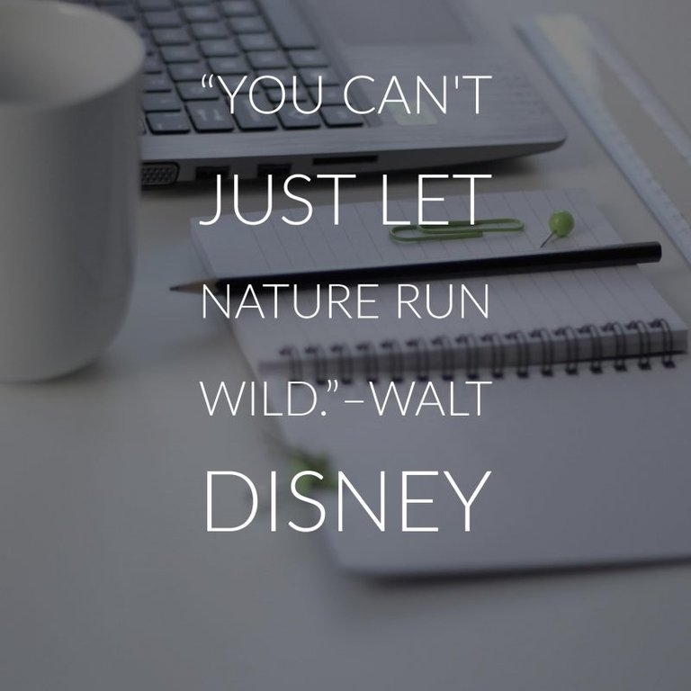 33 Walt Disney Quotes