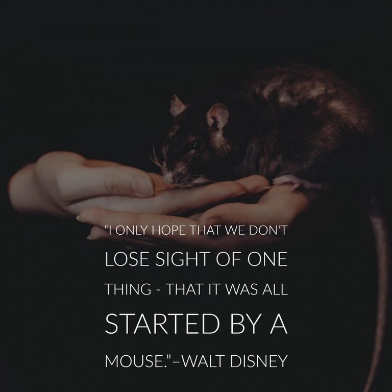 33 Walt Disney Quotes