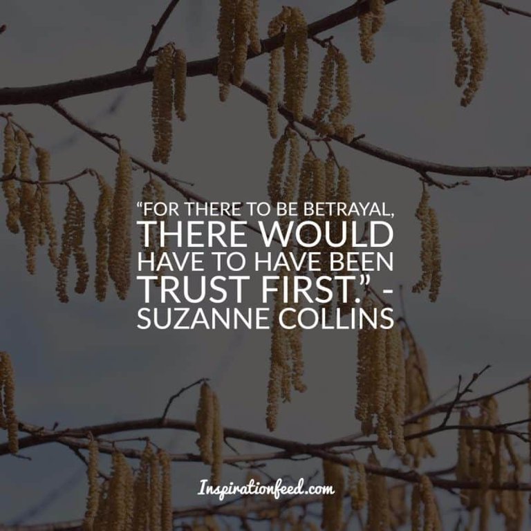 Quotes about Trust