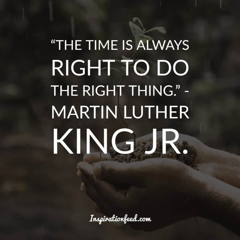 Martin Luther King Jr. quotes