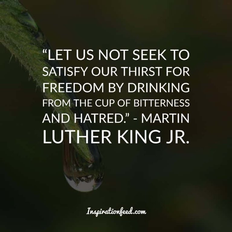 Martin Luther King Jr. quotes