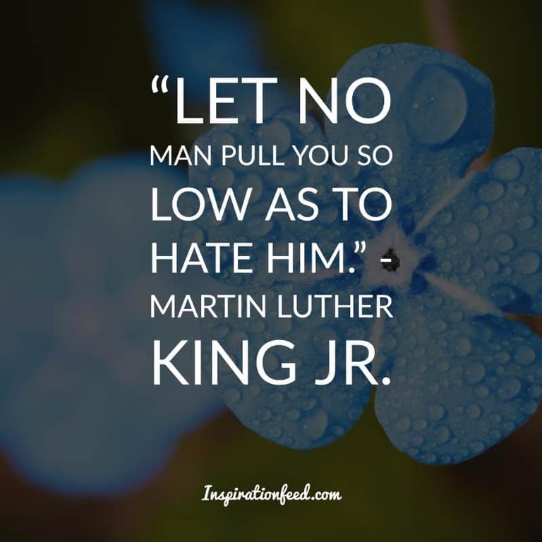 Martin Luther King Jr. quotes