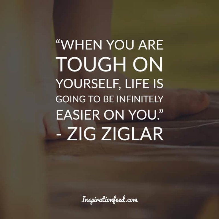 Zig Ziglar quotes