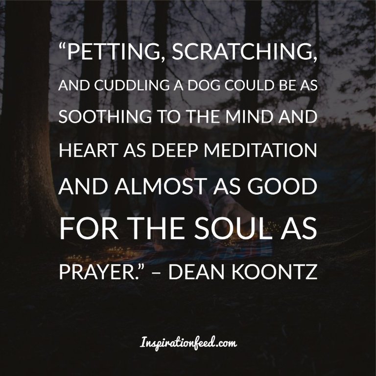 Dog Quotes and Sayings