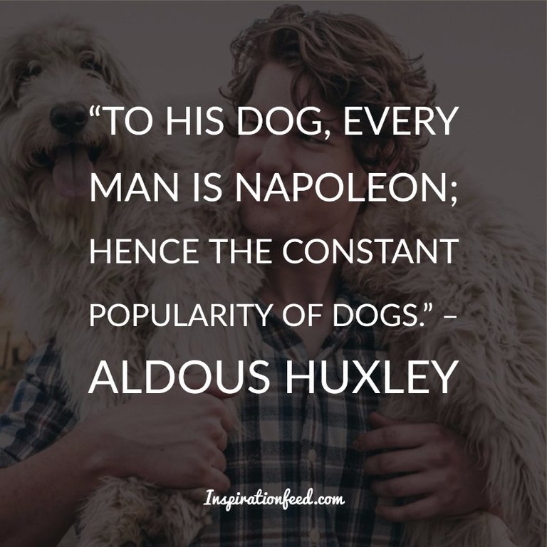 Dog Quotes and Sayings