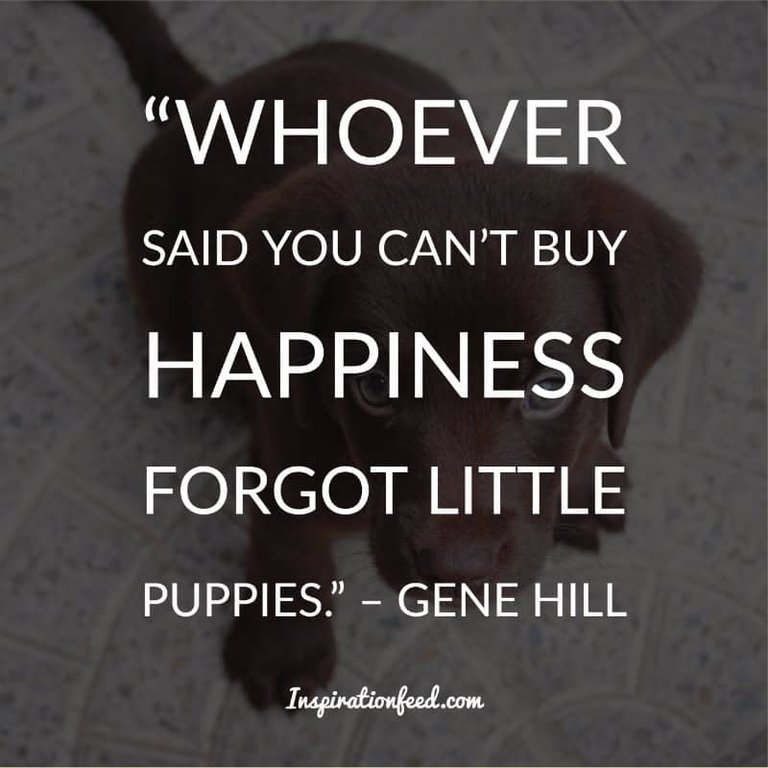 Dog Quotes and Sayings