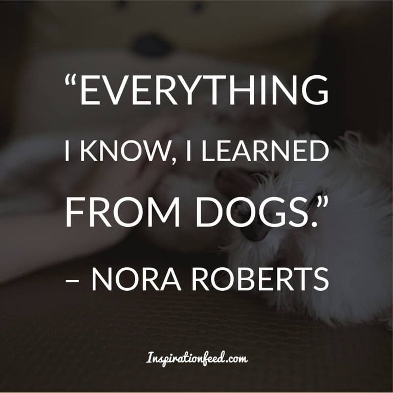 Dog Quotes and Sayings