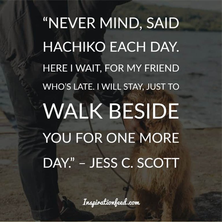 Dog Quotes and Sayings