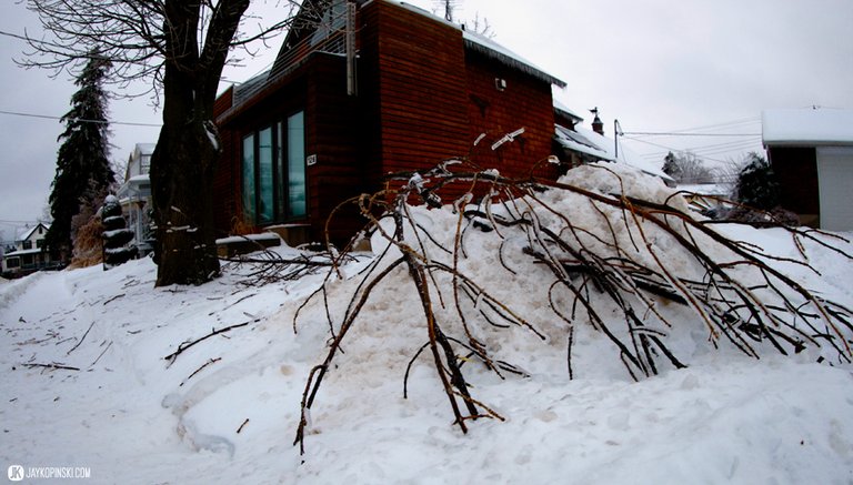 GANANOQUE, CANADA - December 22: Icestorm on December 22, 2013 in Gananoque, Ontario, Canada. - Jay Kopinski