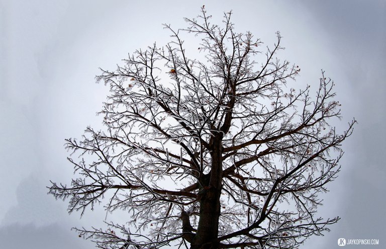 GANANOQUE, CANADA - December 22: Icestorm on December 22, 2013 in Gananoque, Ontario, Canada. - Jay Kopinski