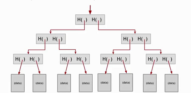 merkle_tree