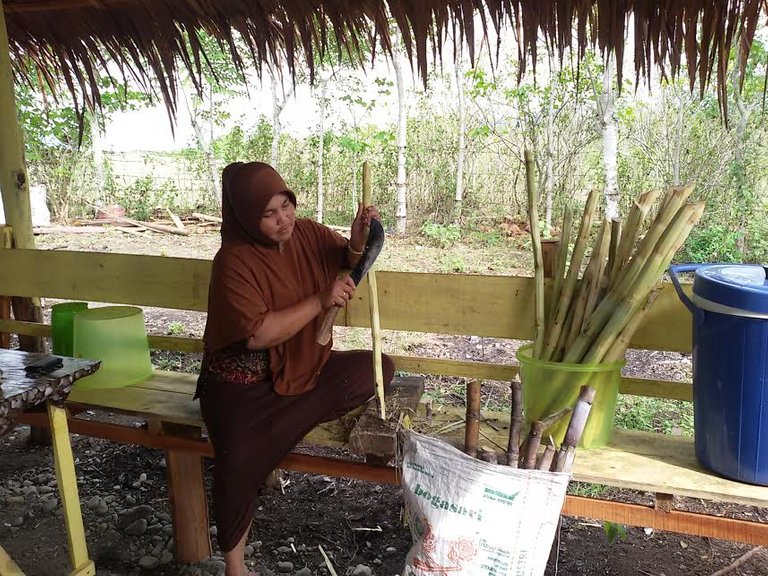 Hasil gambar untuk warung pinggir jalan seulawah