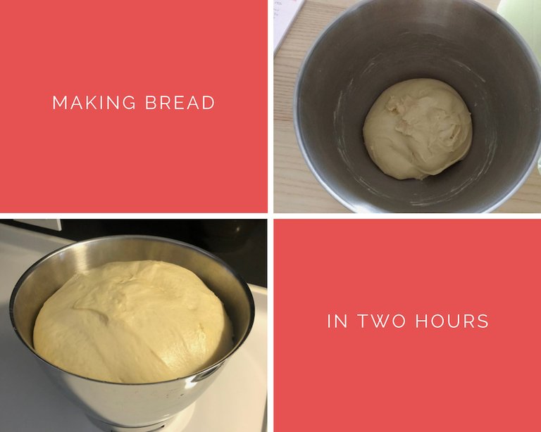 Making bread