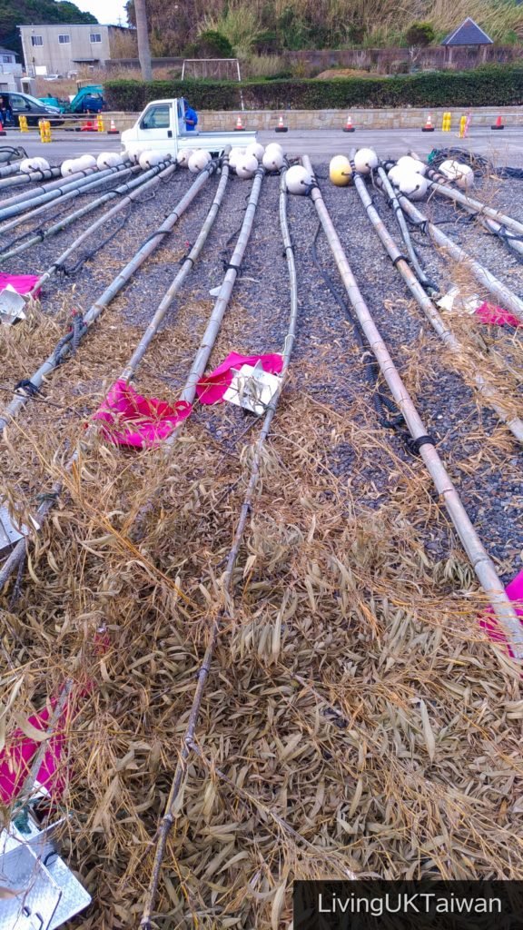 Bamboo poles used by fisherman