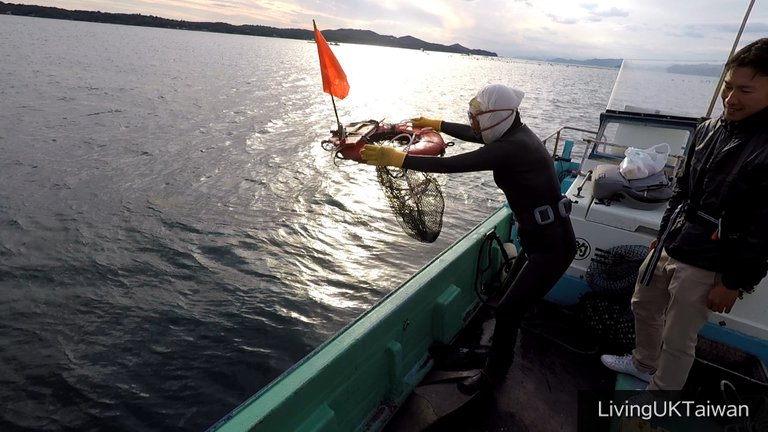 Ama Diver as Ise, Japan