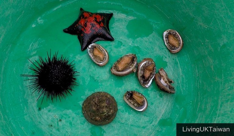 Collection of seafood