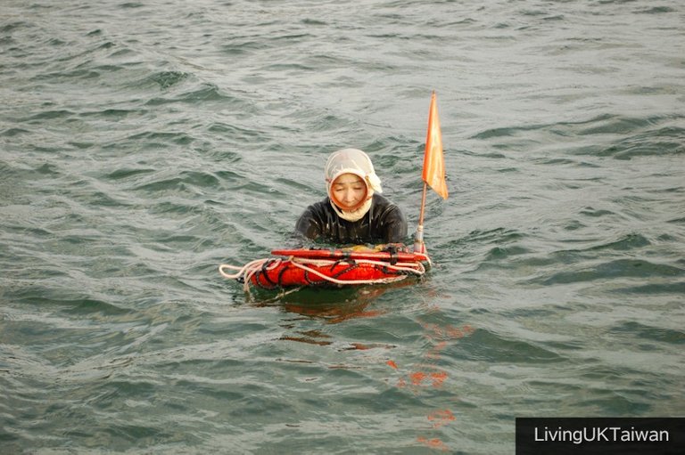 Diving with Ama at Ise, Japan