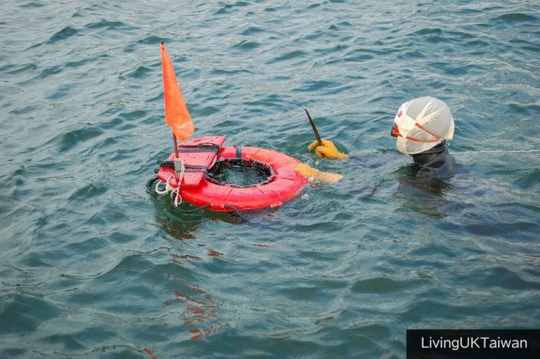 Diving with Ama at Ise, Japan