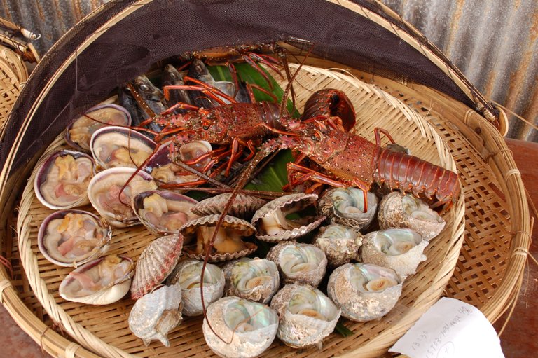 Seafood lunch at Toba, Japan