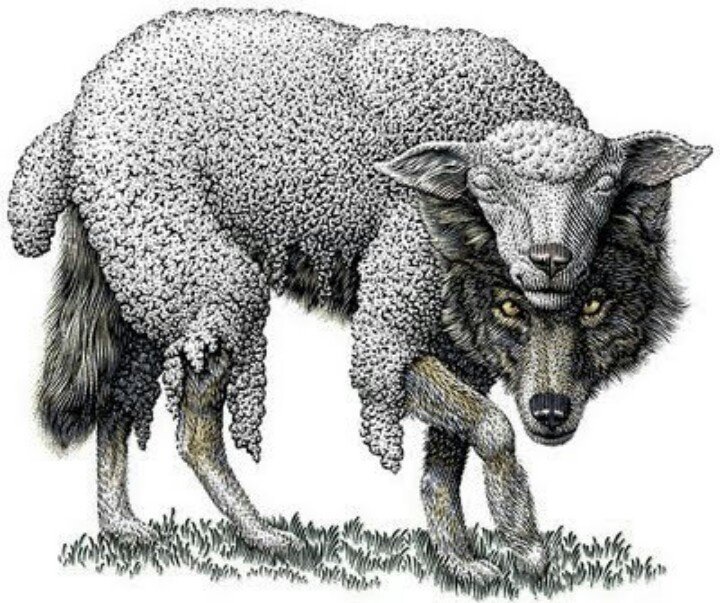 Wolf_In_Sheeps_Clothing