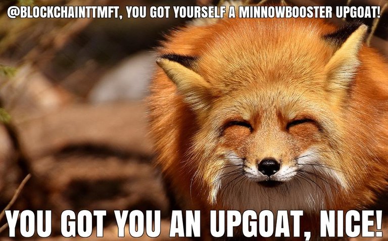 @blockchainttmft got you a $1.97 @minnowbooster upgoat, nice!