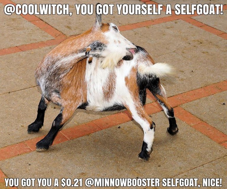 @coolwitch got you a $0.21 @minnowbooster upgoat, nice!