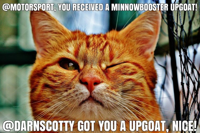 @darnscotty got you a $1.3 @minnowbooster upgoat, nice!