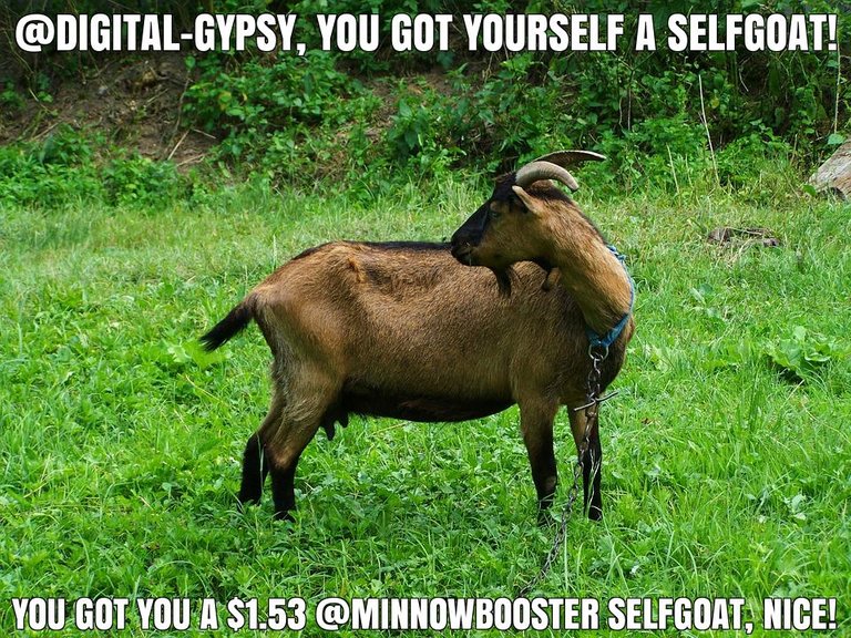 @digital-gypsy got you a $1.53 @minnowbooster upgoat, nice!