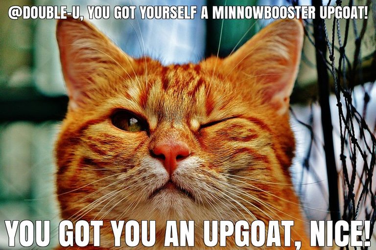 @double-u got you a $1.9 @minnowbooster upgoat, nice!