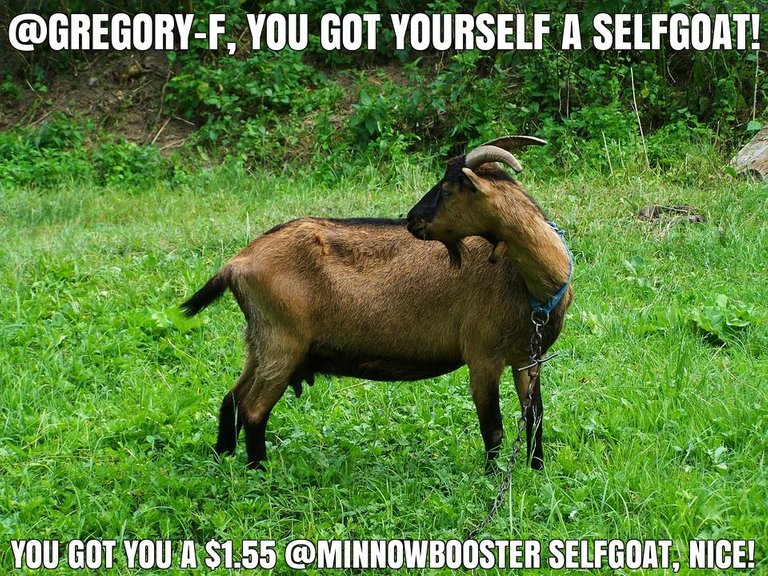 @gregory-f got you a $1.55 @minnowbooster upgoat, nice!