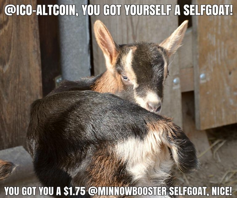 @ico-altcoin got you a $1.75 @minnowbooster upgoat, nice!