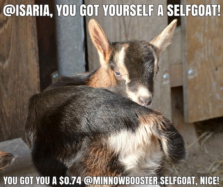 @isaria got you a $0.74 @minnowbooster upgoat, nice!