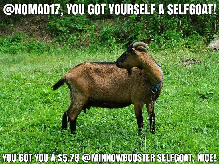 @nomad17 got you a $5.78 @minnowbooster upgoat, nice!