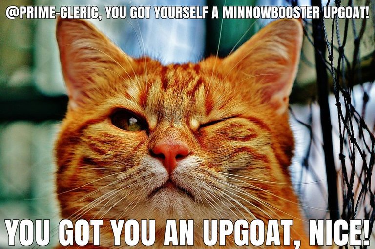 @prime-cleric got you a $7.82 @minnowbooster upgoat, nice!