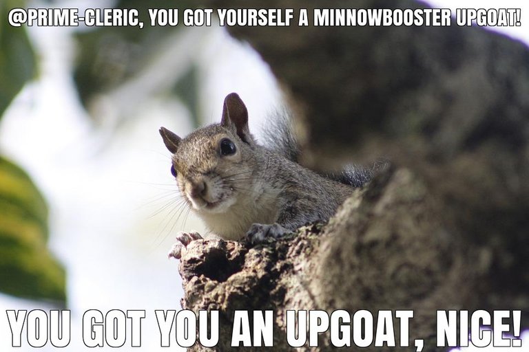 @prime-cleric got you a $8.14 @minnowbooster upgoat, nice!