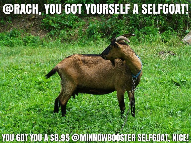 @rach got you a $8.95 @minnowbooster upgoat, nice!