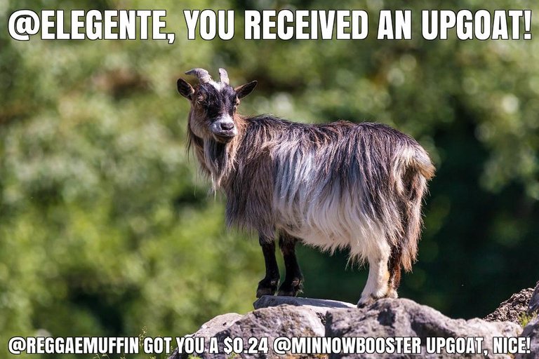 @reggaemuffin got you a $0.24 @minnowbooster upgoat, nice!