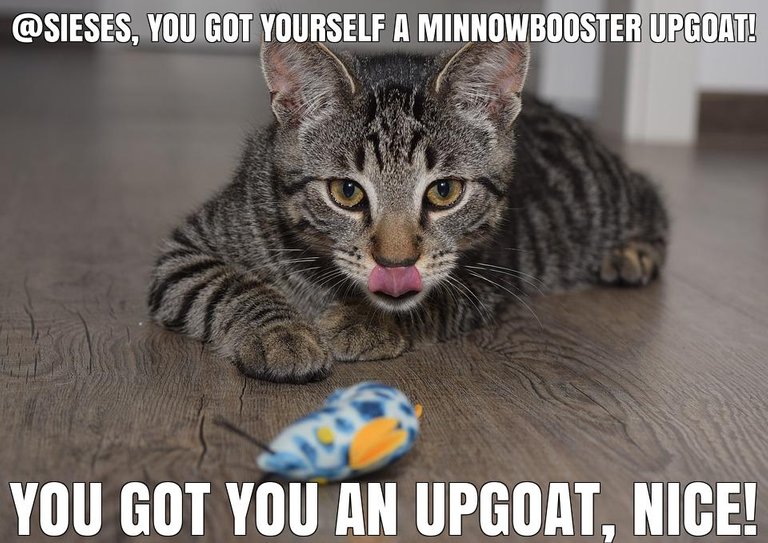 @sieses got you a $1.36 @minnowbooster upgoat, nice!