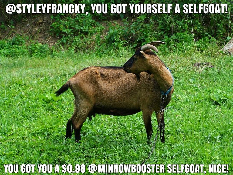 @styleyfrancky got you a $0.98 @minnowbooster upgoat, nice!