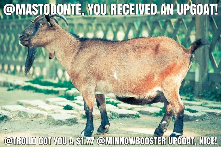 @troilo got you a $1.77 @minnowbooster upgoat, nice!