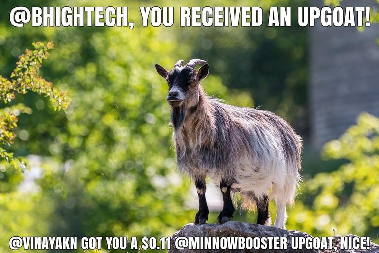 @vinayakn got you a $0.11 @minnowbooster upgoat, nice!